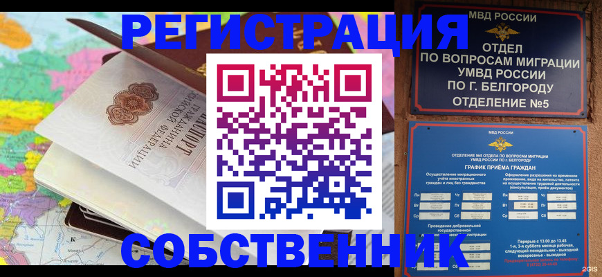 временная регистрация гарантия в Ивантеевке